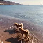 Caravans 10 Min To & 35 Min To Black Sea Κάμπινγκ *