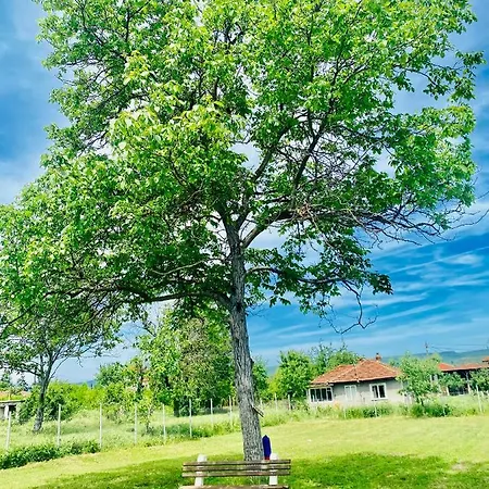Caravans 10 Min To & 35 Min To Black Sea אתר קמפינג *